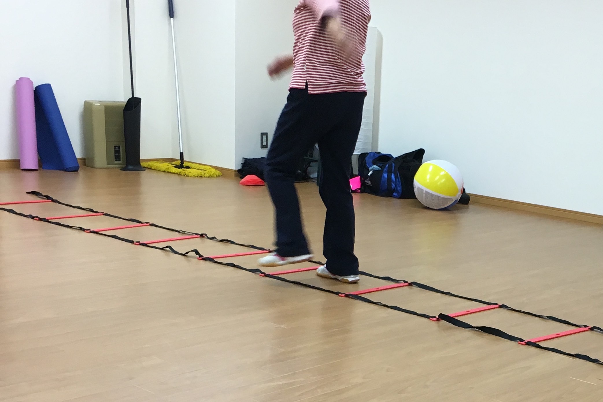 新しい仲間が加わりました！